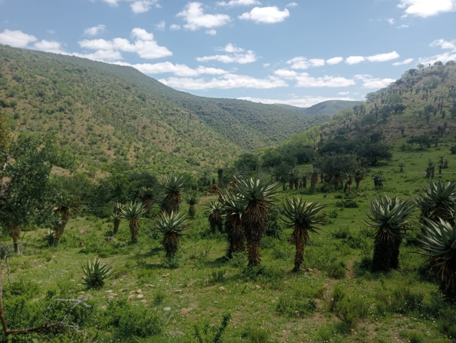 0 Bedroom Property for Sale in Stutterheim Rural Eastern Cape